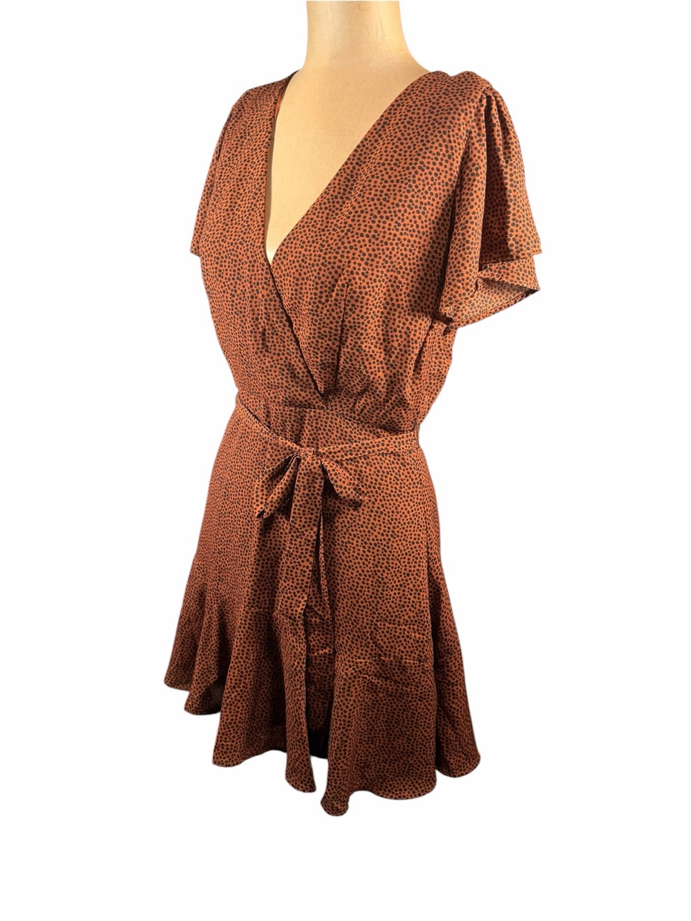 BLUE RAIN Spotted Brown and Black Dress NWT